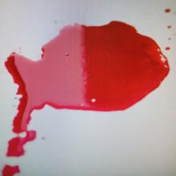 Logo Sangue Seco